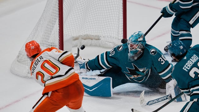 Ducks Sharks Hockey 