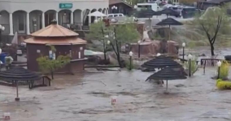 https://assets2.cbsnewsstatic.com/hub/i/r/2025/10/12/d251cf89-90d7-47c0-bcb1-6a2c090708b3/thumbnail/1200x630/37fc69c814c7790a5b2dd83f576f14b1/c4e9979a2ca905de48ce2e3686c73db3.jpg