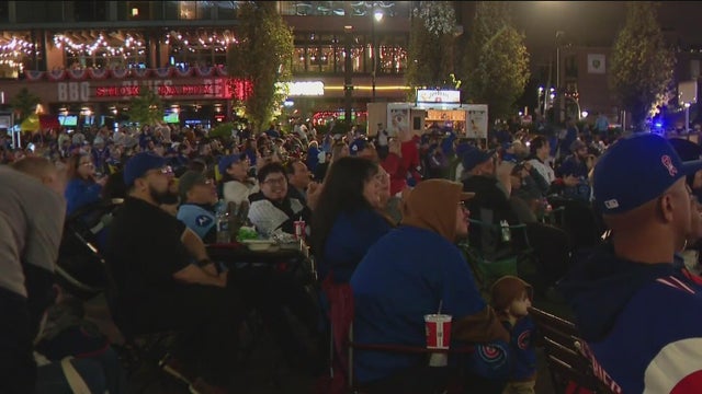 Cubs fans 2025 