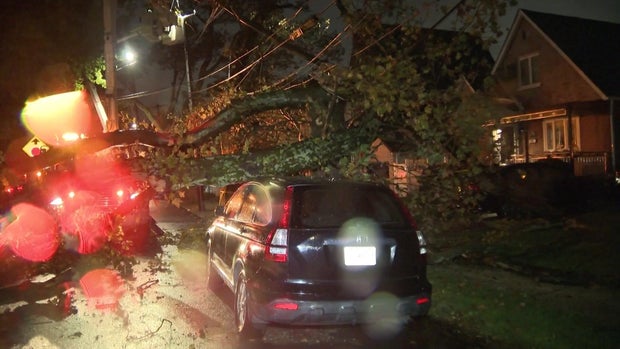 A tree on a car during a storm 