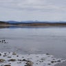 Trump Alaska Mining Road 