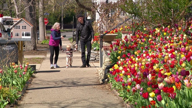 5p-pkg-spring-in-bloom-wcco59lr.jpg 