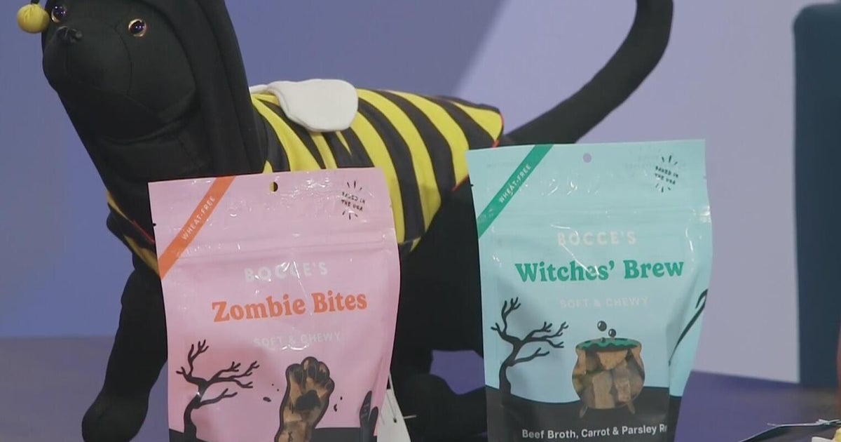 How to keep your pets safe on Halloween