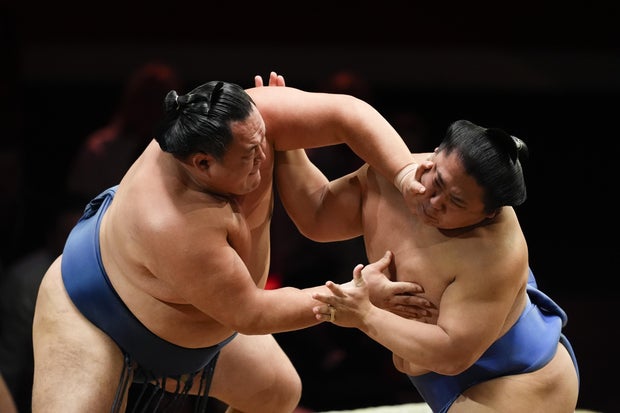 The Grand Sumo Tournament - Day One - Royal Albert Hall