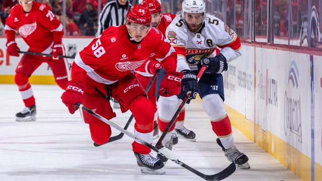 Florida Panthers v Detroit Red Wings 