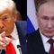 Trump says he's speaking with Putin before meeting with Zelenskyy at the White House