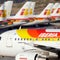 Dogs count as cargo, court rules, after passenger's pet goes missing