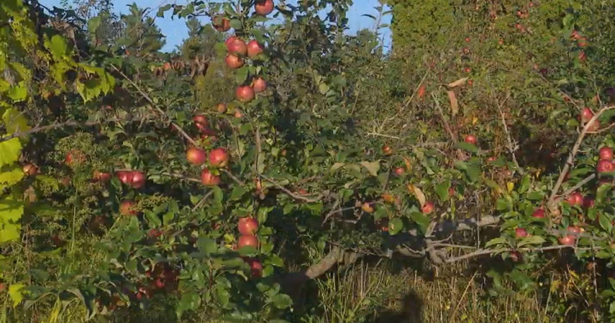 Families, businesses capitalize on MEA weekend