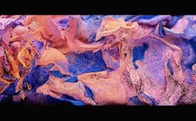 Can AI dream? Artist Refik Anadol believes the answer is yes 