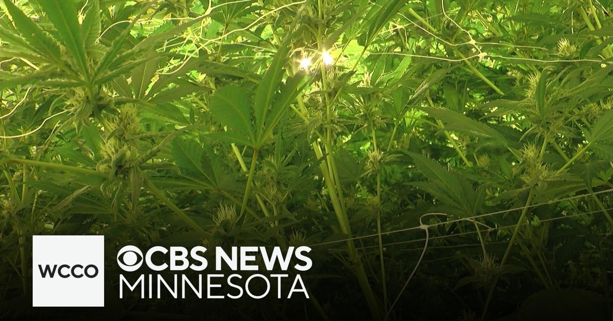 Minnesota "cannabusinesses" struggling to stock store shelves