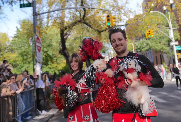 Halloween Dog Parade in NYC