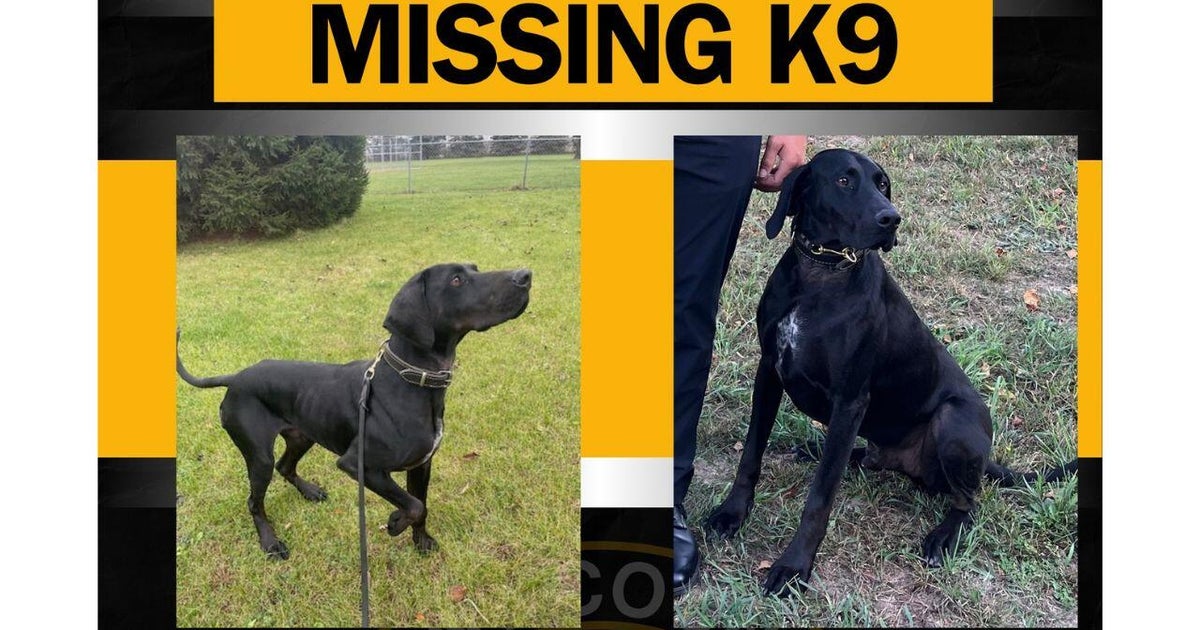 Kent County sheriff's K-9 found a day after he went missing