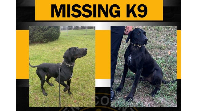 missing-k-9-slider.jpg 