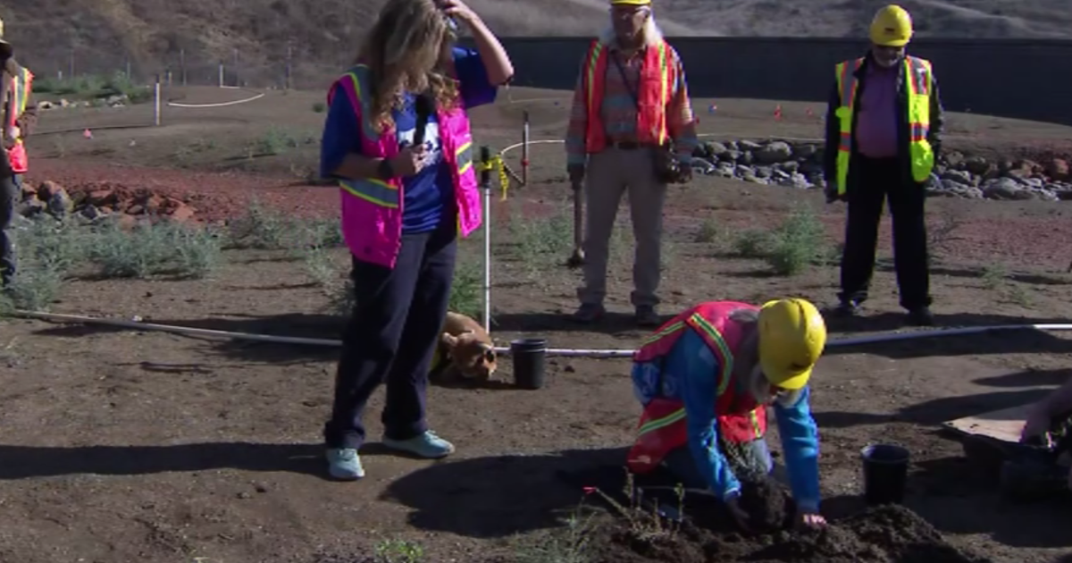 Wallis Annenberg Crossing Planting, On Track 2026