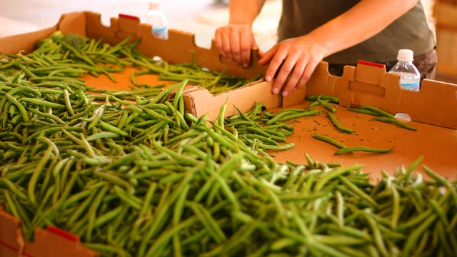 Fresh Vegetables at the Farmer's Market 