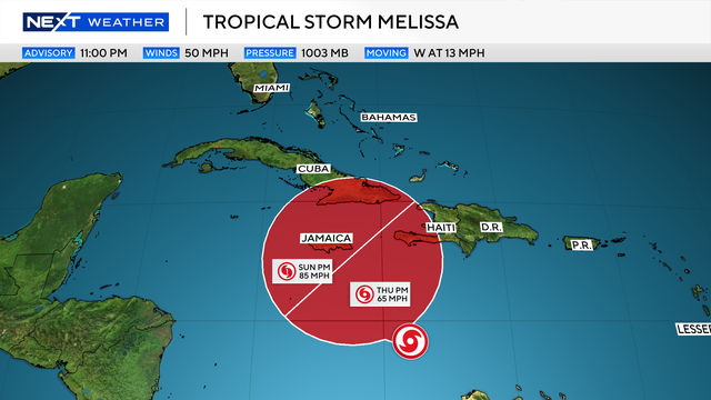 melissa11.png 