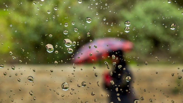 mid intermittent rain showers, hikers bundled up in cold weather clothing explore the Baldwin Hills Scenic Overlook 