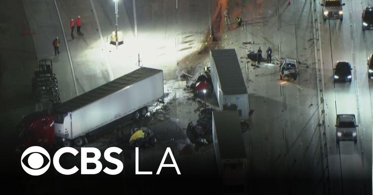 Truck driver arrested in deadly crash was in the country illegally, DHS ...