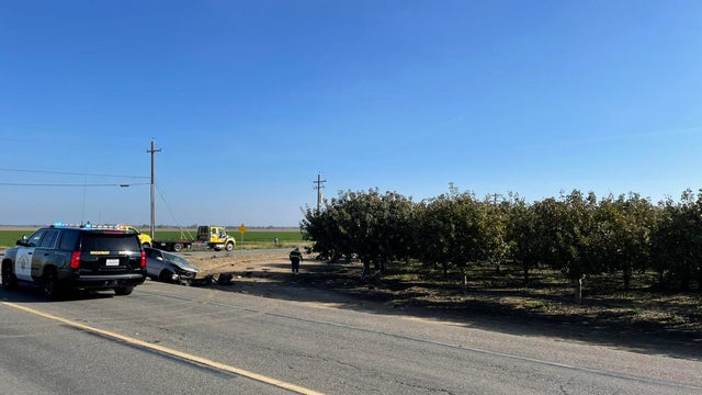 Crime scene police lights 