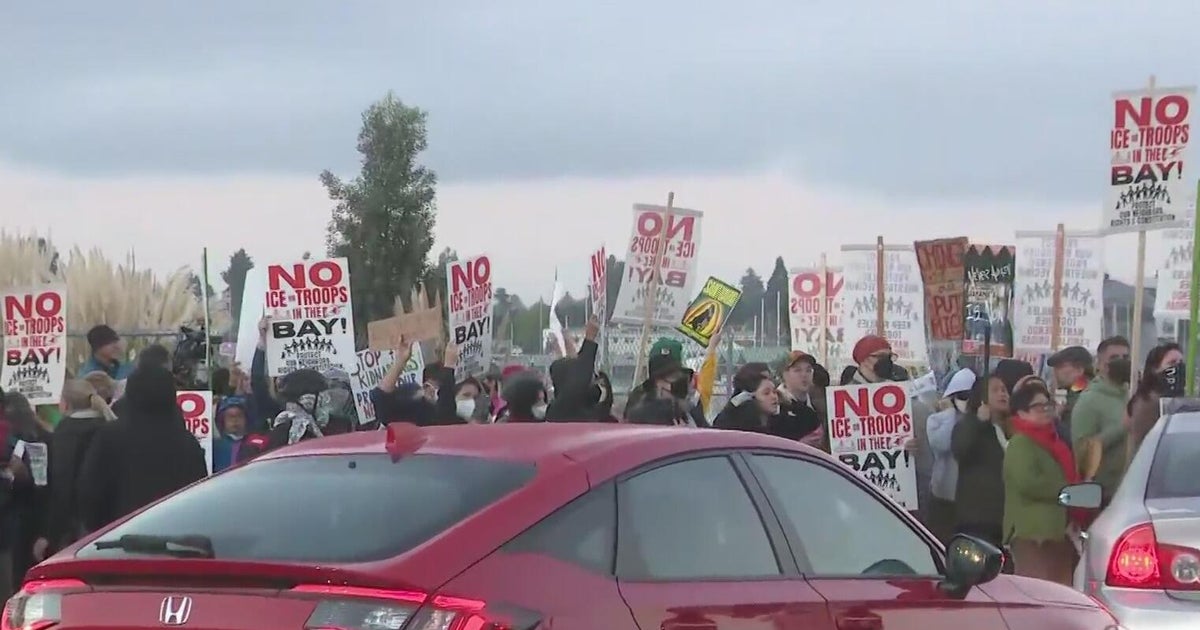 Protesters Clash With Federal Agents Near Alameda Coast Guard Island Ahead of Bay Area Immigration Operation