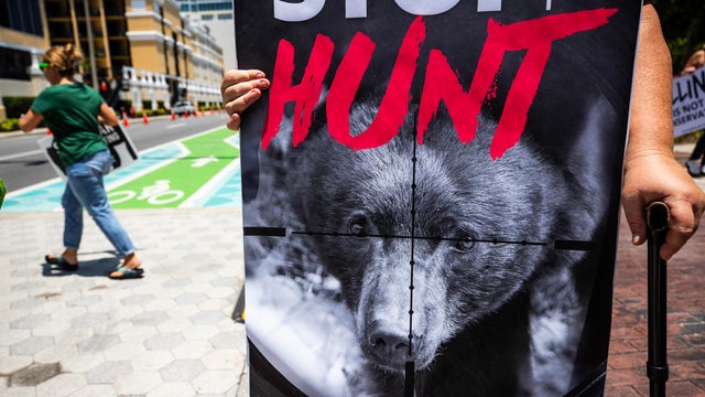 US-NEWS-FLA-BEAR-HUNT-OS 