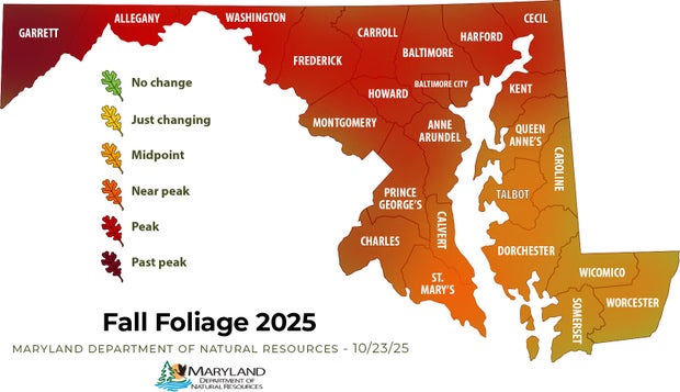 October 23rd Maryland DNR Fall Foliage report 