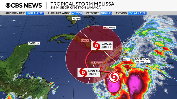 melissa3.png