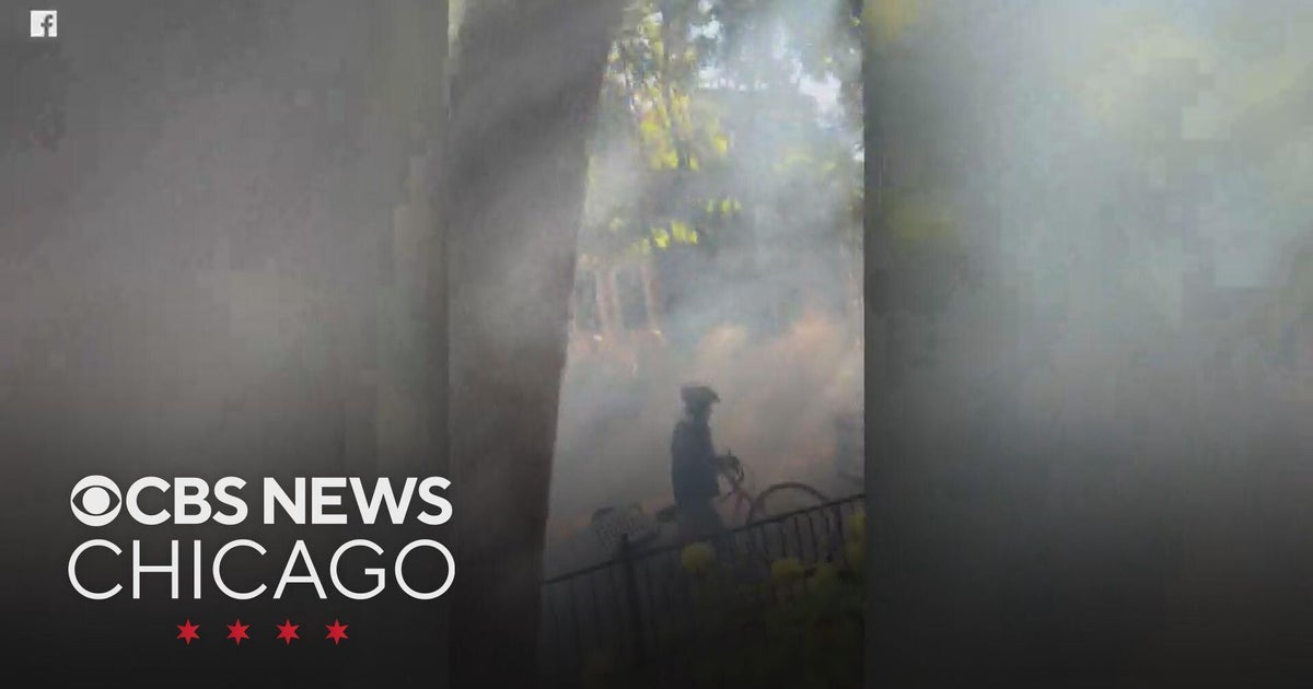 Federal Immigration Raids Trigger Arrests, Tear Gas in Chicago Neighborhoods