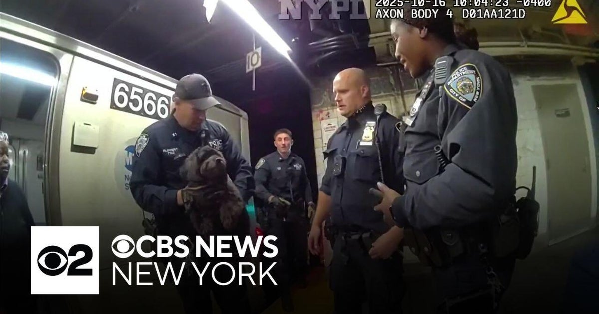 NYPD officers rescue dog from subway tracks - CBS New York