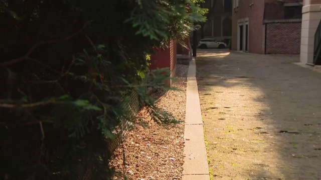 gold-coast-wooden-alley.png