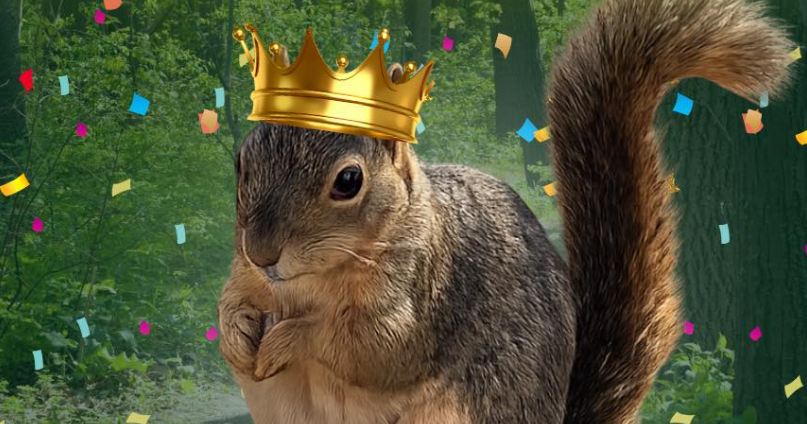 Fat Squirrel Week winner waddles in from North Texas