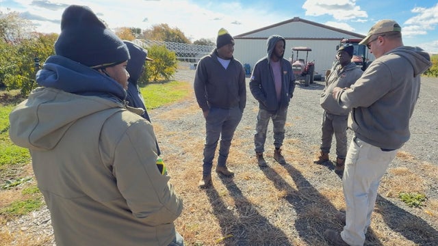 Davidian's Northboro