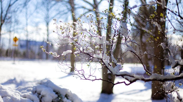 winter-outlook.png