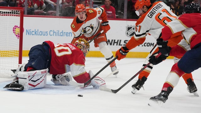 Ducks Panthers Hockey