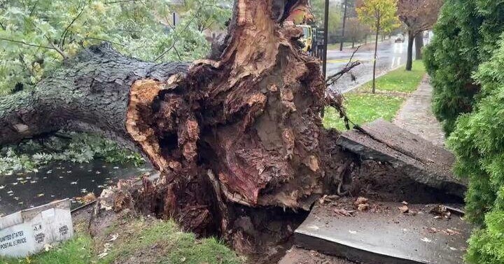 2 dead after being found in flooded basements as NYC sees record rainfall