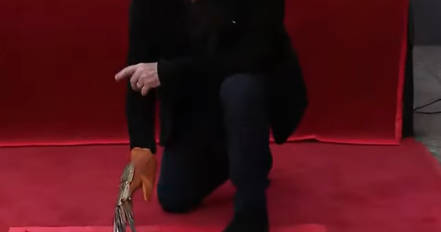 Robert Englund Honored With Hollywood Walk of Fame Star