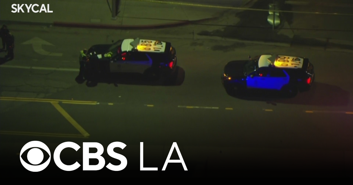 Lake View Terrace Hit-And-Run Kills One, Hospitalizes Another, Suspect Fled