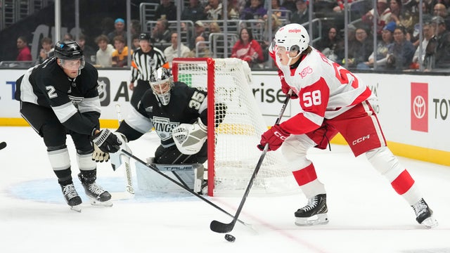 Red Wings Kings Hockey 