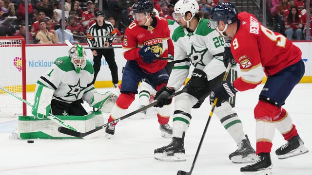 Stars Panthers Hockey 