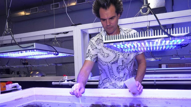 Miami Beach Reef Art