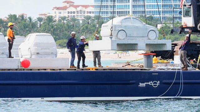 Miami Beach Reef Art 