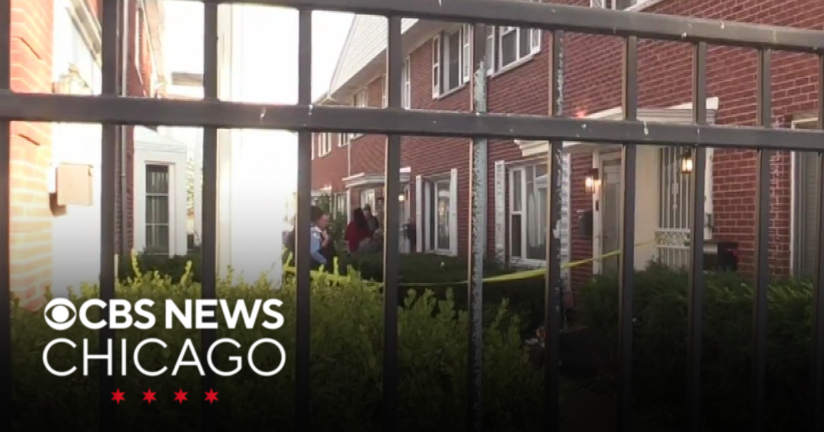Man shot and killed by brother during altercation in Oak Park - CBS Chicago