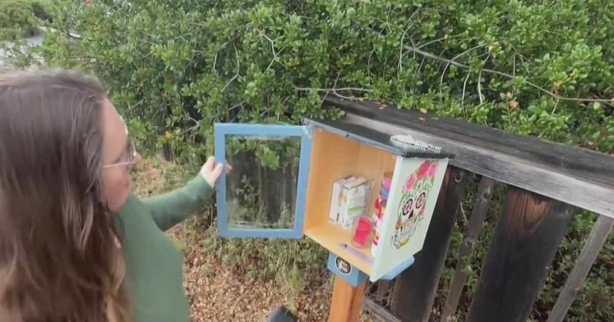 Novato woman creates community pantry to help people affected by government shutdown
