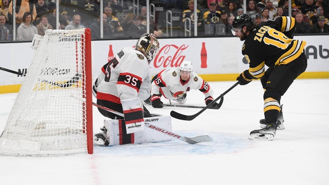 Pavel Zacha Boston Bruins 