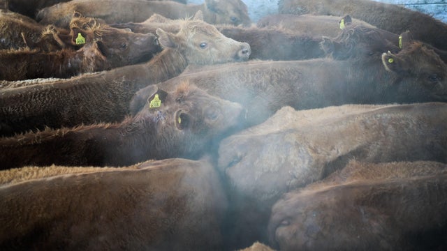 APTOPIX Argentina Beef 