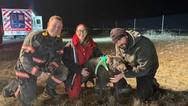 firefighters-reunite-dog-with-owners-after-rescue.jpg 