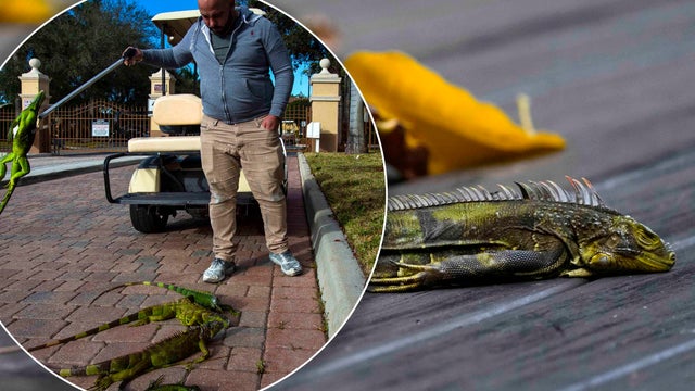 Winter Weather Florida 