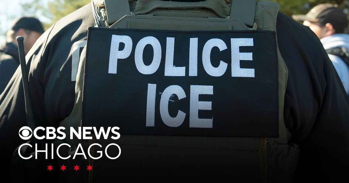 Judge orders hundreds detained by ICE in Chicago area released over the ...