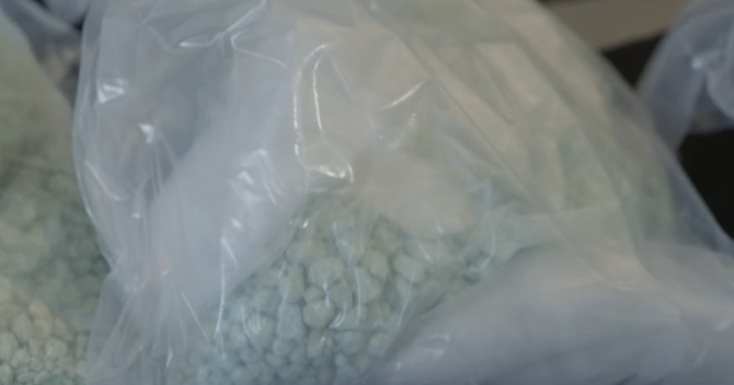 Canadian police seize record-breaking 101 pounds of fentanyl in Windsor