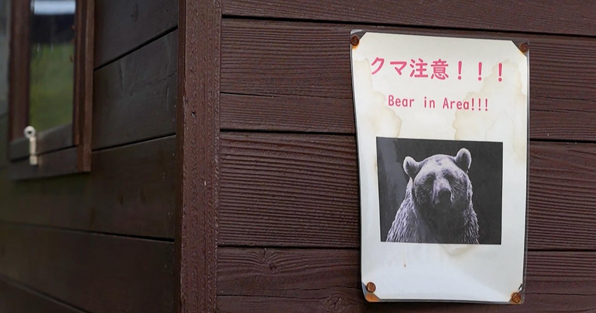Bear goes on rampage in Japan, injuring 4 people
